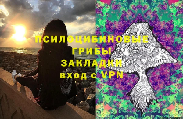 крисы Вязьма