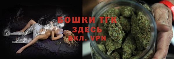 стаф Вязники