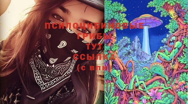 ALPHA PVP Вяземский
