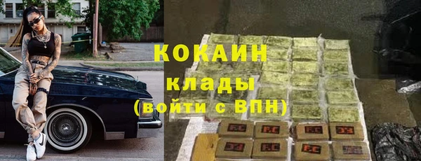 стаф Вязники