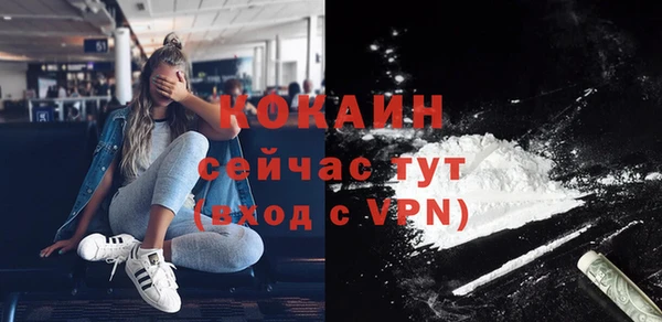крисы Вязьма