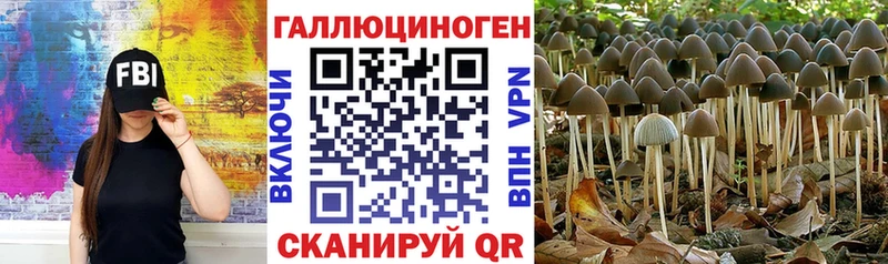 Псилоцибиновые грибы Magic Shrooms  Чекалин 